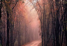 九游娱乐:欧冠早报:巴黎点球战淘汰利物浦 拜仁晋级将战国米.