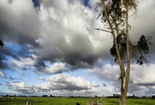 九游娱乐：“接地气”的比赛！少数民族传统体育运动会与普通运动会有啥区别央视新闻客户端.