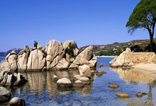 九游娱乐：扎卡尼&坎比亚索有伤在身！官方：意大利补招24岁右后卫贝拉诺瓦.